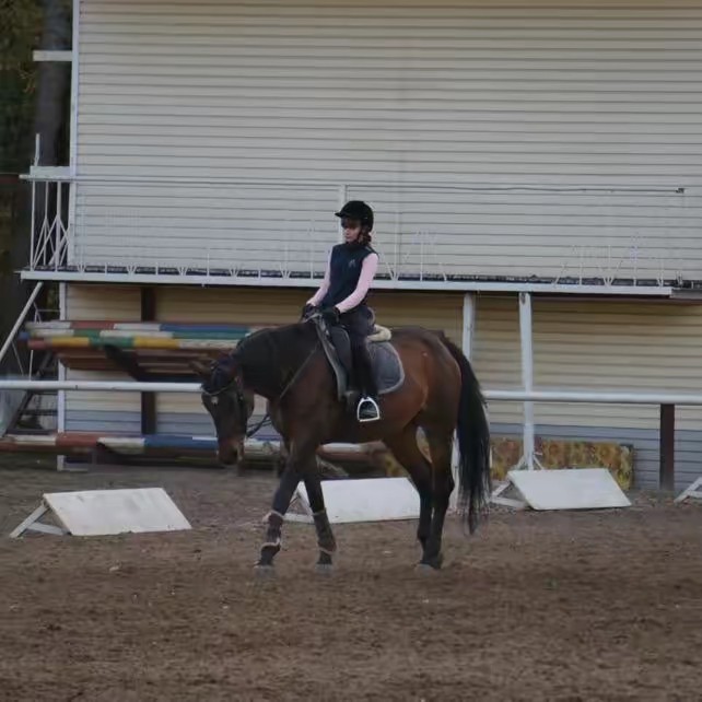 Мохнатый носик 🐴✨