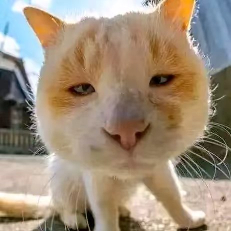 susu "cap dua telur"🥚 2002