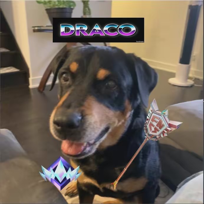 7xdrako