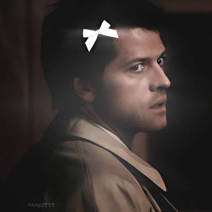 ─ 𝓕ran ៹ 🌺   ౨.