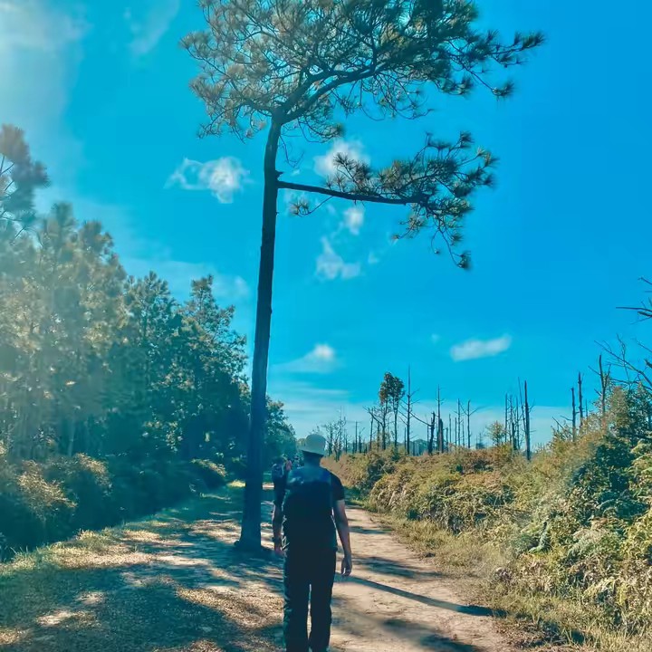 ชื่อภูพิงค์แต่เพื่อนเรียก🐊พิง