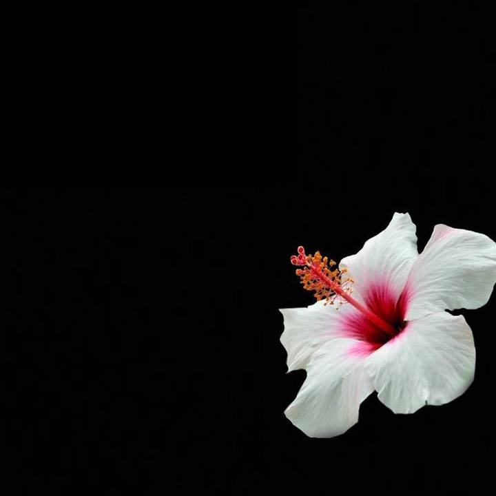 𝐬𝐨𝐫𝐚𝐲𝐚.🤍