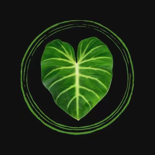 Britney’s Urban Oasis 🌱