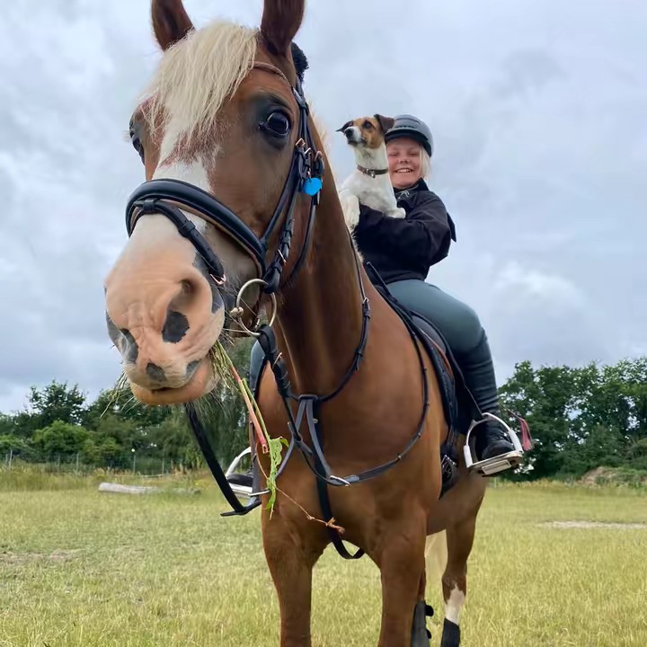 linchen_buddy.hermann❤️