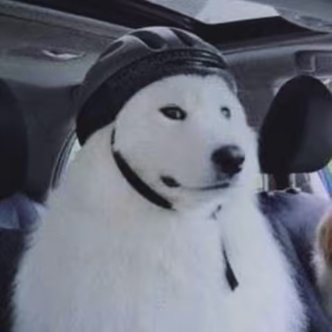 LA Who Am I To Love You