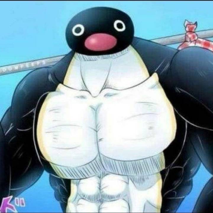 Pow 🐧