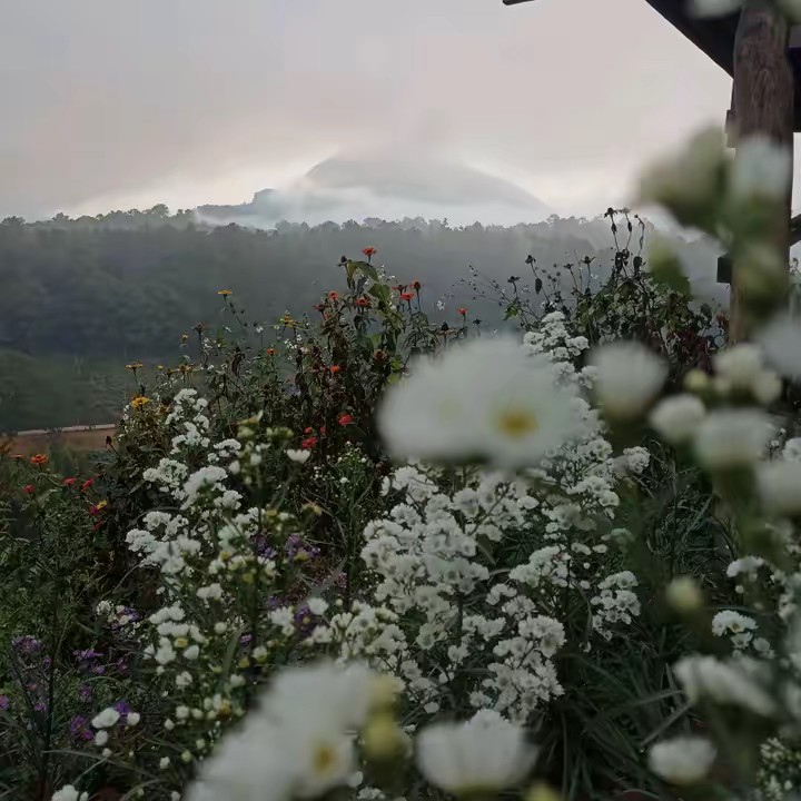 ขาย-ของทั่วไป