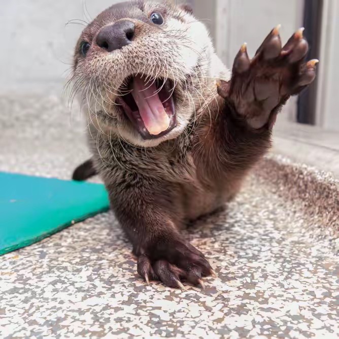 Oregon Zoo