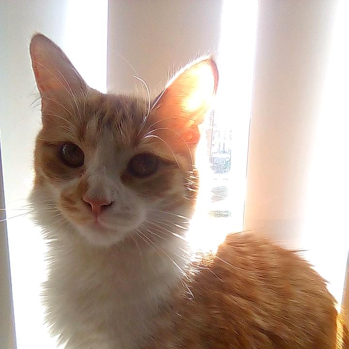 I love ynw melly 😁