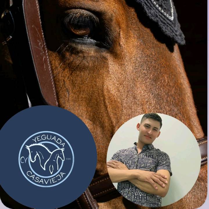 🌵🐛NICOLAS 🇭🇳🇪🇸🌈🦋