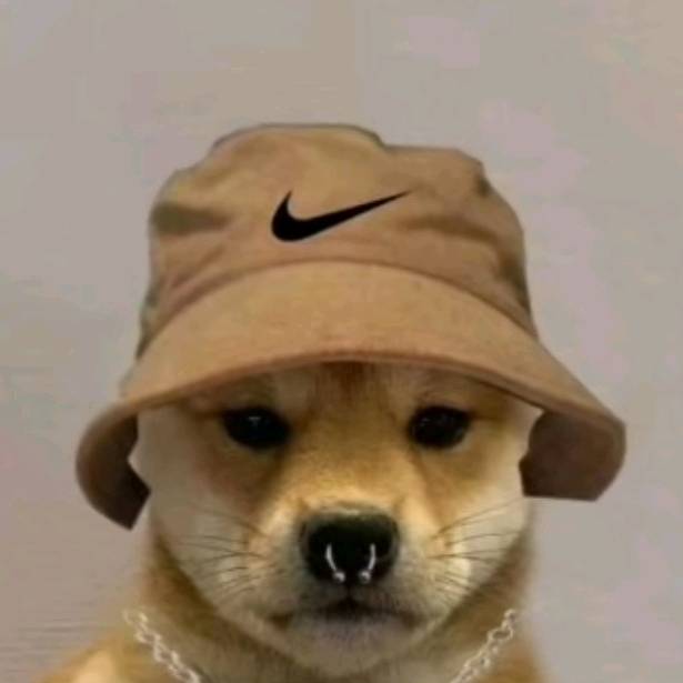 el otaku😃(づ￣ ³￣)づ