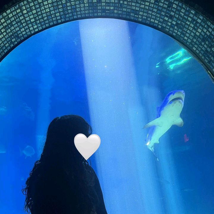 𝑽𝟒𝒙_𝑳𝒖𝒗.