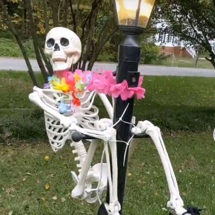 💗Faerie Fanpage💗