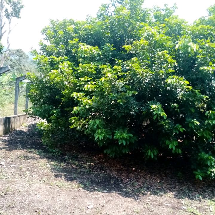 🐠🐠el  pescado🐟🐟💎