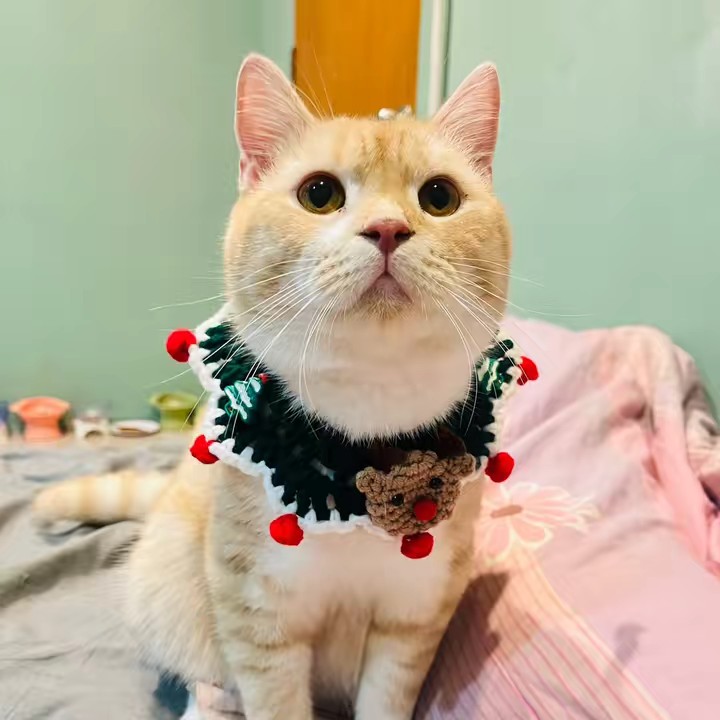 ของที่ทาสต้องมี