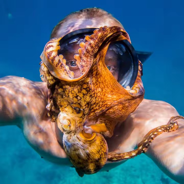 CEO of the Ocean