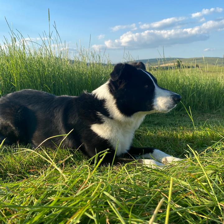 𝒎𝒂𝒙 🏴󠁧󠁢󠁳󠁣󠁴󠁿