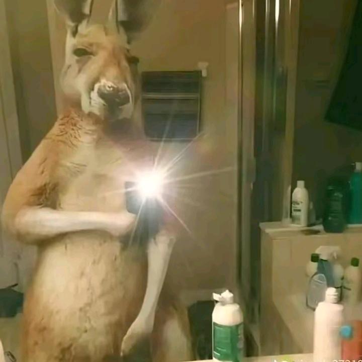 Leidi Lali González