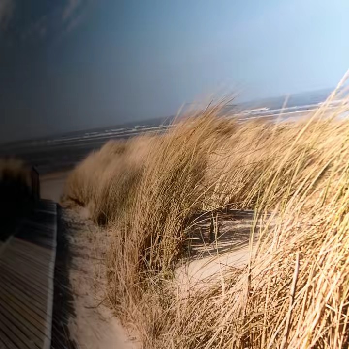 Bahar 👩🏻‍🍳