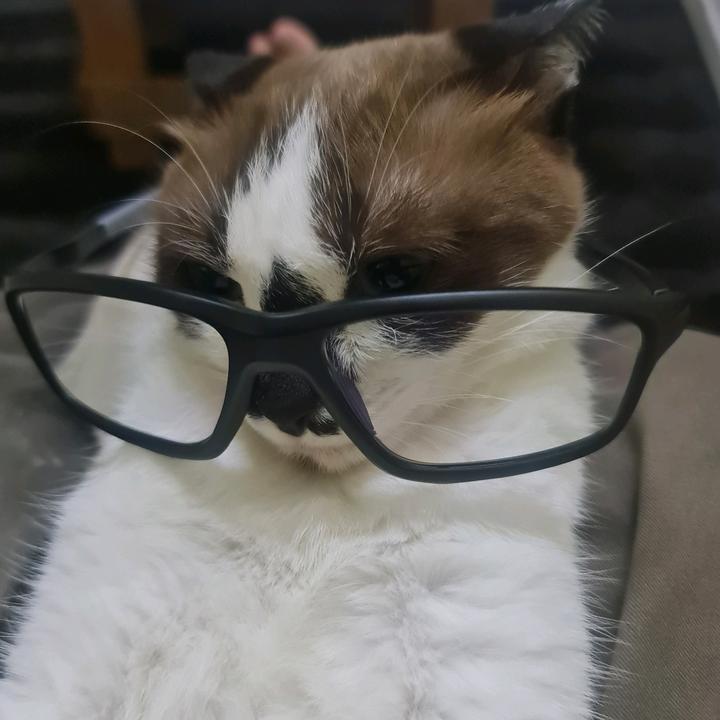 SIMPLE LIFE 🇮🇳❤️🇱🇷