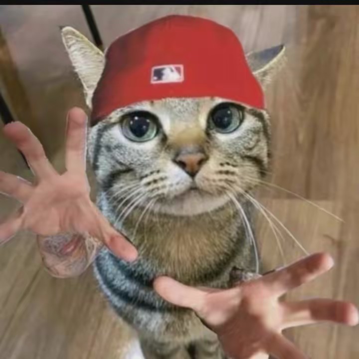 Connor | TT Shop Finds