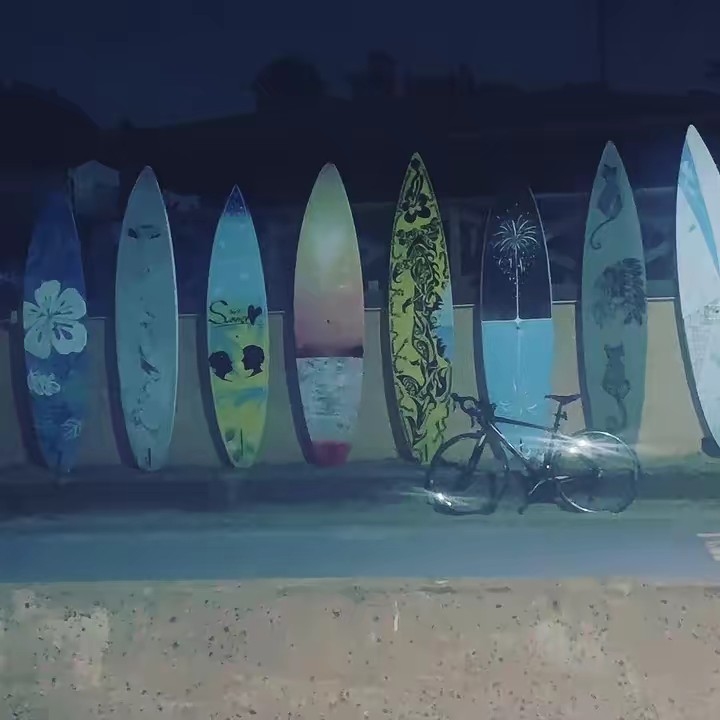 🧸     🧸  🍑🌻