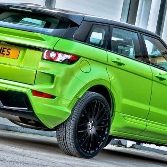 Joey aka JayEssexVibes