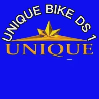 Unique Bike DS1 official