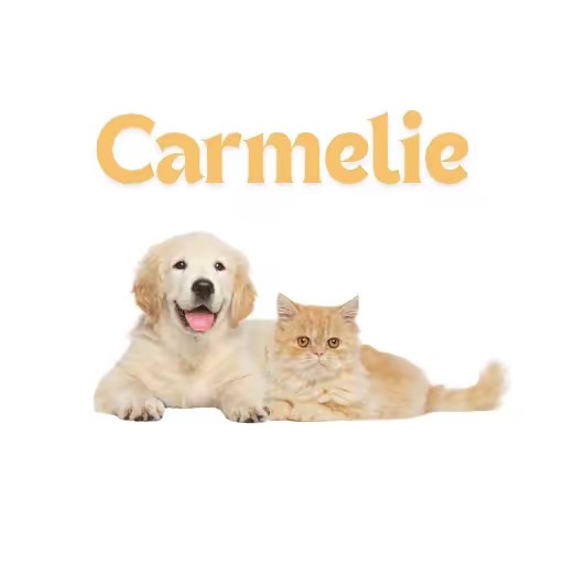 Carmelie Store