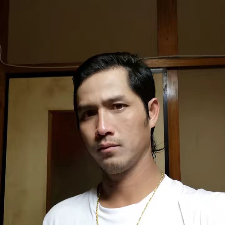 បក្សីស្លាបដែក