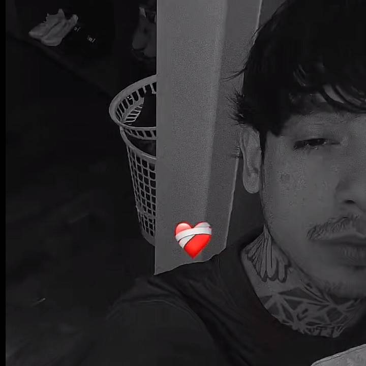 𝐙 | 𝐗シ 𝐀𝐌𝐋𝐈𝐓𝐎