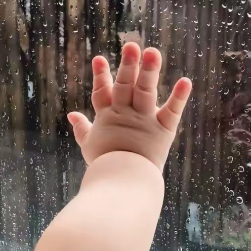 Hoàng Châu Viên Minh ❤️