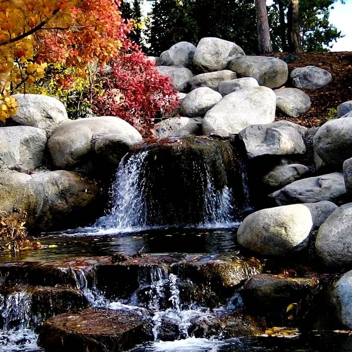 ifollowpeoplewhoarealive