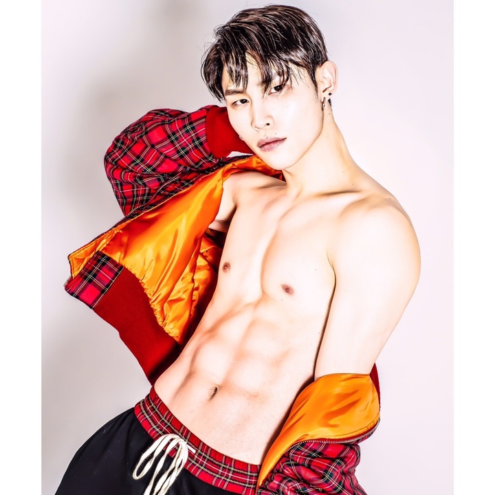 🐈🏰sung🏰🐈