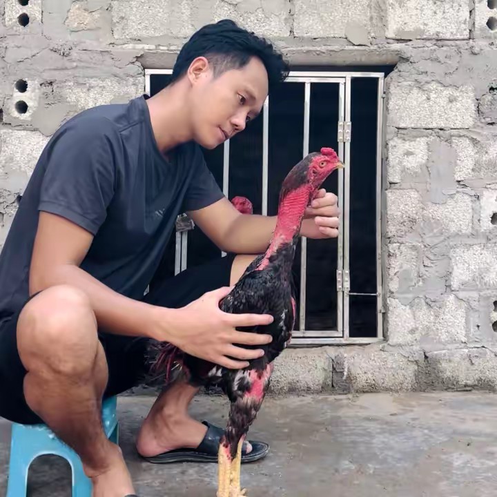 Duy Trần Nam Định