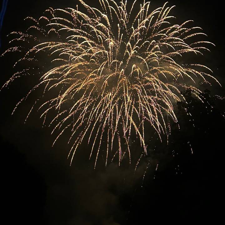 🏆‼️King M‼️🏆