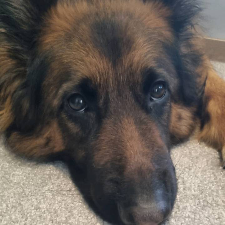 maxincomeunleashed.com