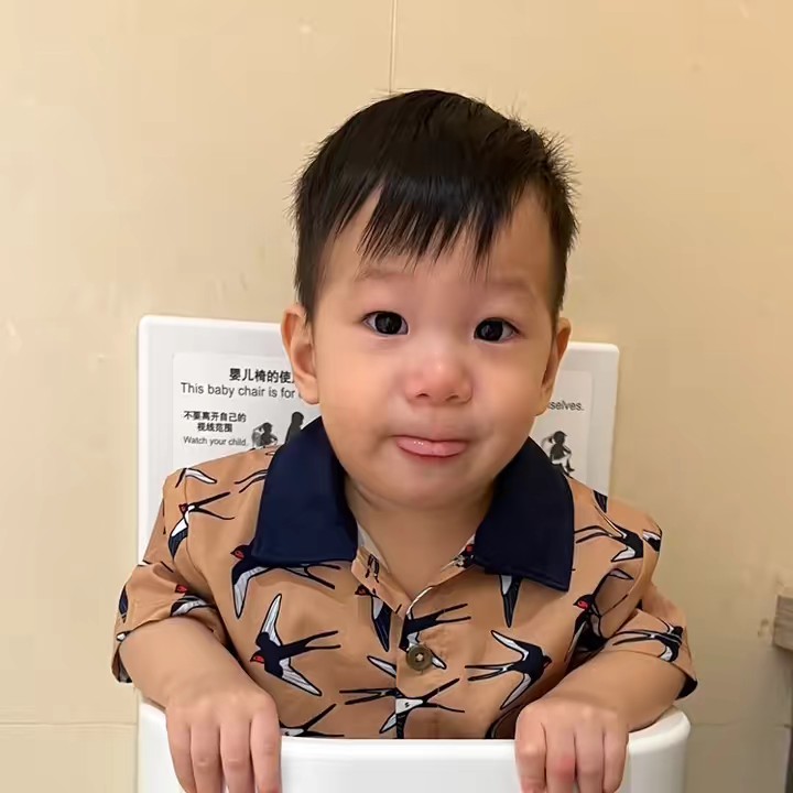 โปรติดปีก