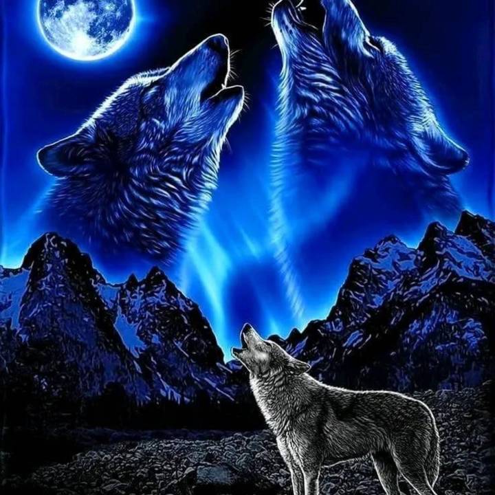 🐺Shewolf🐺/🎗️💝mimi’sarmy🎗️