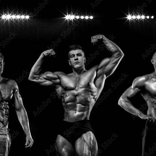 fitness_bodybuilding7