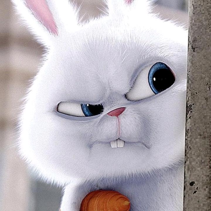 😁😁Bondik😁😁