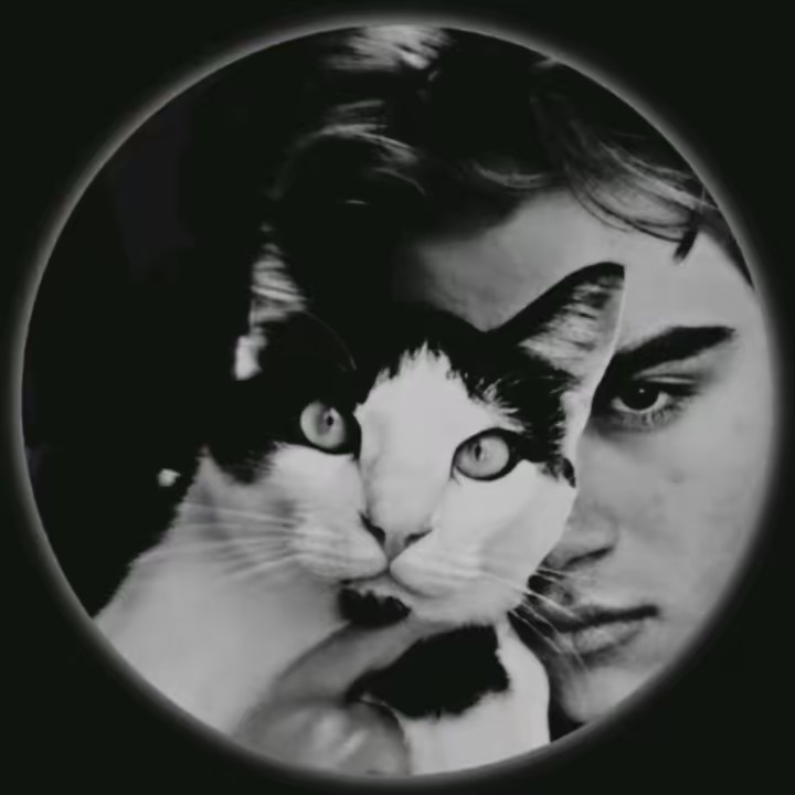 👑⚡راجہ پنڈی آلا⚡👑