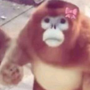 Pearl(Finn wolfhards version)