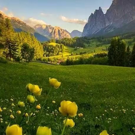 รวยทรัพย์shop