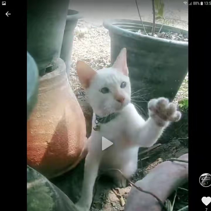 ขายทุกอย่างที่ราคาถูกจริงดีจริ