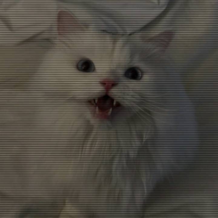 💙ℝ𝕖𝕧𝕝𝕖𝕟𝕕𝕖𝕧💙