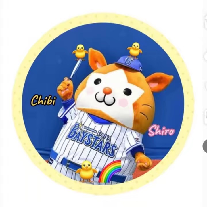 🐣はーこ🐥🌈