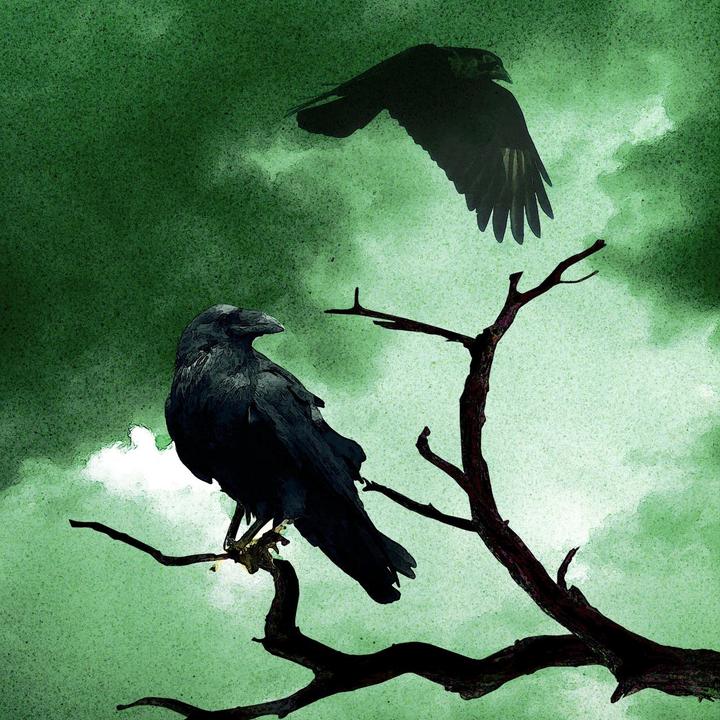 ·.¸¸.·♩♪♫ ℍ𝕖𝕚𝕕𝕣 ♫♪♩·.¸¸.·