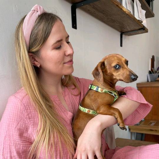 ⁿ ᵃ ᵒ ᵐ ⁱ  ʷ ᵉ ᵇ ˢ ᵗ ᵉ ʳ