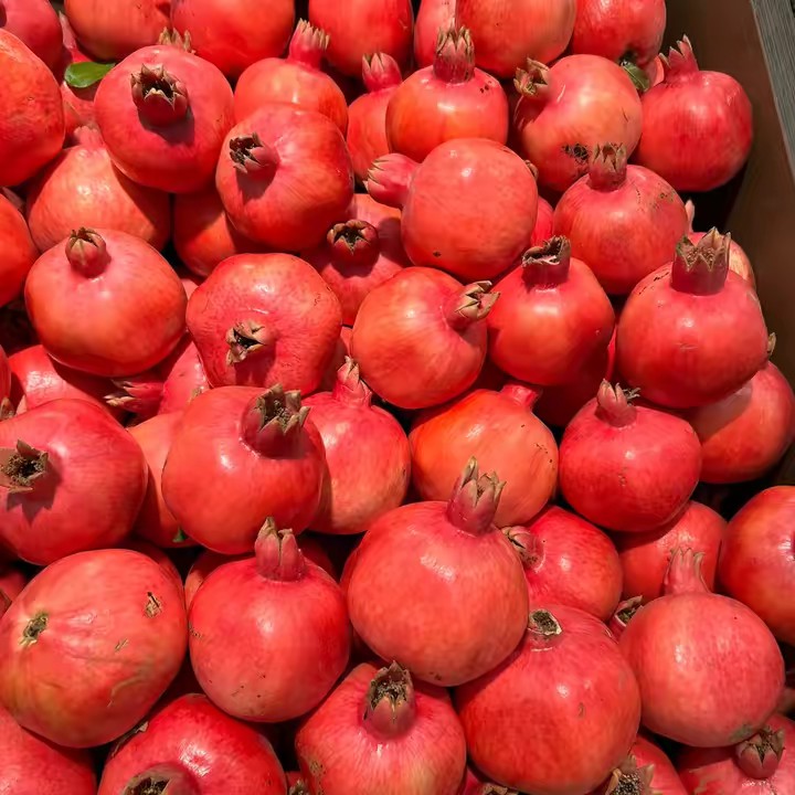 Ariella🧿🌟🌶️